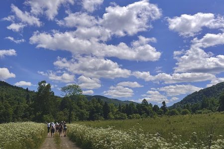Гірська місцевість - Україна